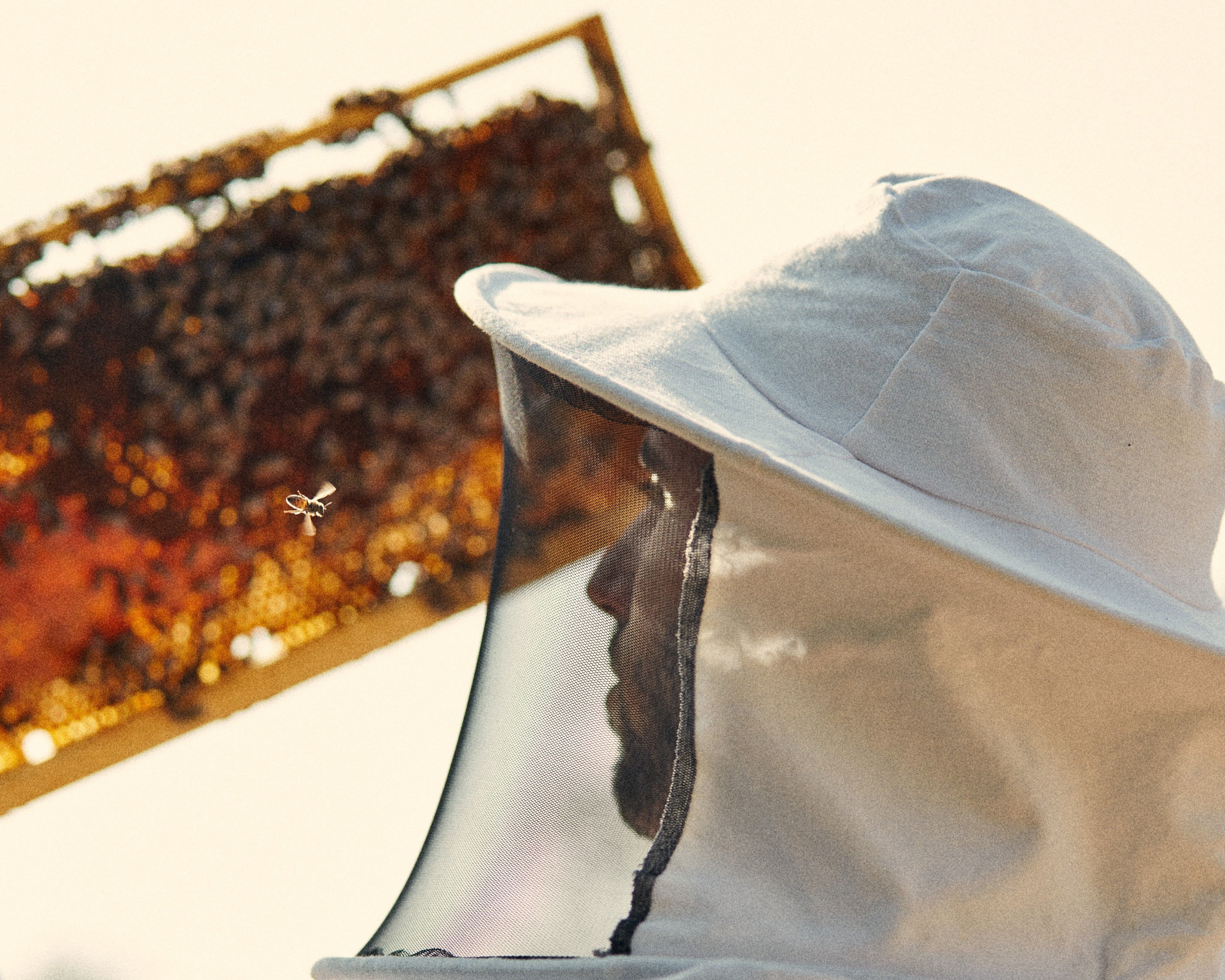 26_apivita_2023 Apivita_Beekeeping area_Low Res (6).jpg